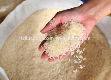 RICE MILING UNIT MODEL SB-10D FOR SALE