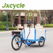 Front Loading Cargo Tricycle with Two Front Wheels