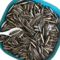 Raw Sunflower Seeds With Different Types