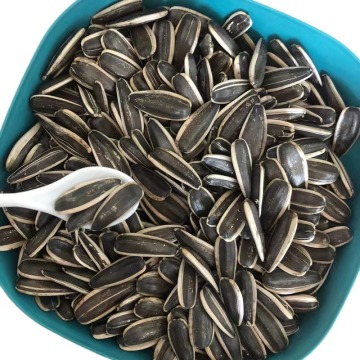 2021 New Crop Sunflower Seeds 361