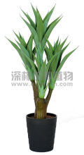 Best Sell artificial plant Mini Agave Americana