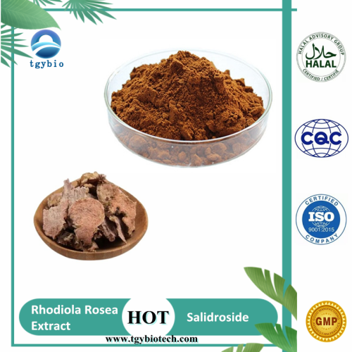 Suministro de salidroside de extracto de Rhodiola rosea a granel 1%-10%