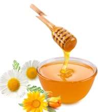 bulk sale raw natural and pure honey