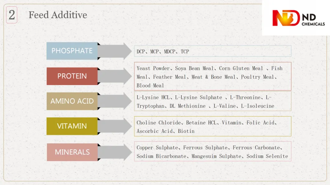 Monocalcium Phosphate 22% Powder Mcp Phosphate Supplement for Layer Mash Concentrate