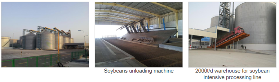 Sojabohnenlager Soybean Warehouse
