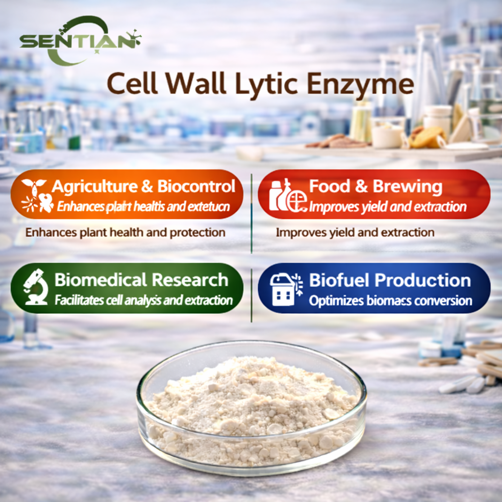 Cell Wall Lytic Enzyme Cell Wall Lytic Enzyme