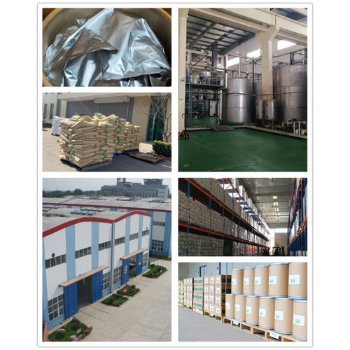 Anti-aging Lipoic acid plant with production CAS 1077-28-7