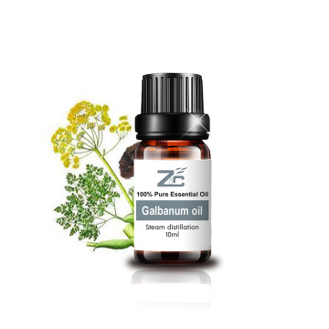 100% Pure Galbanum Essential Oil