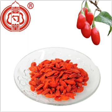 The Super Food Nutrition Suszona jagoda Goji