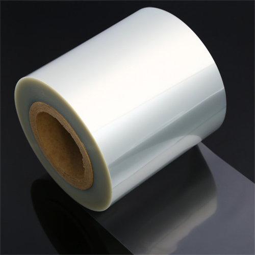 PET Rigid Sheet Roll Thermoforming And Printing