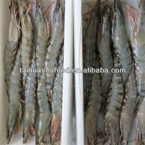 fresh shrimp and seafood meals