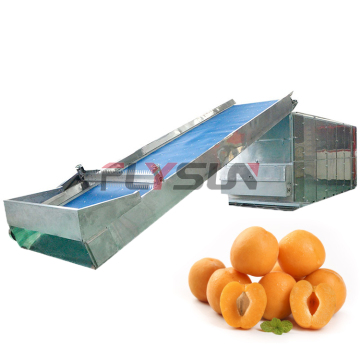 Apricots and Fruit Drying Machines in Pakistan: Cardamom and Hops Dryer Equipment