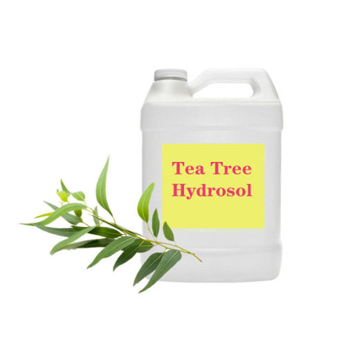 Natural tea tree hydrosol for resale