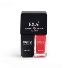 EA Nail Art No Base No Top Coat Gel Polish Kit FengShangMei One Step