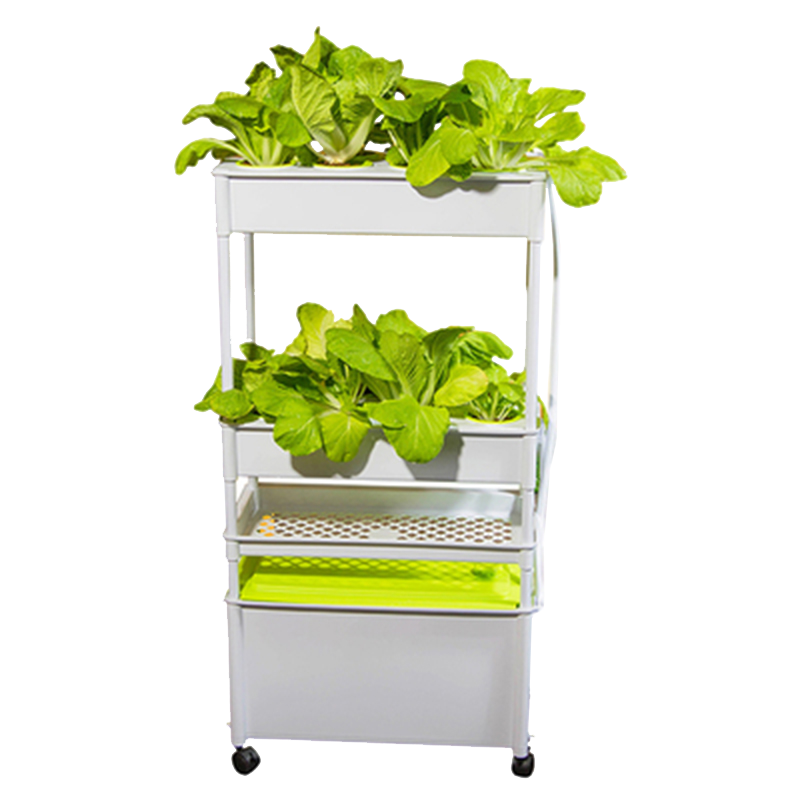 New Vertical Hydroponics System 1