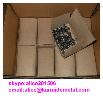 Polished Flat Head Common Iron Wire Nail