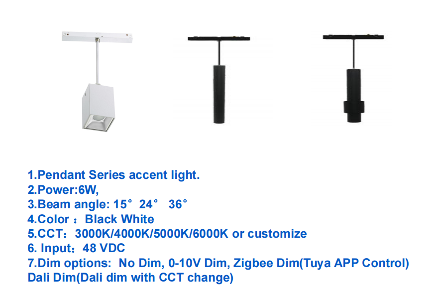 Pendant Series Spotlight Track Lighting System Ultra Slim Magnetic Track Light Rail Black Chandelier for Indoor Bedroom