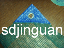 Olive-Collecting Net