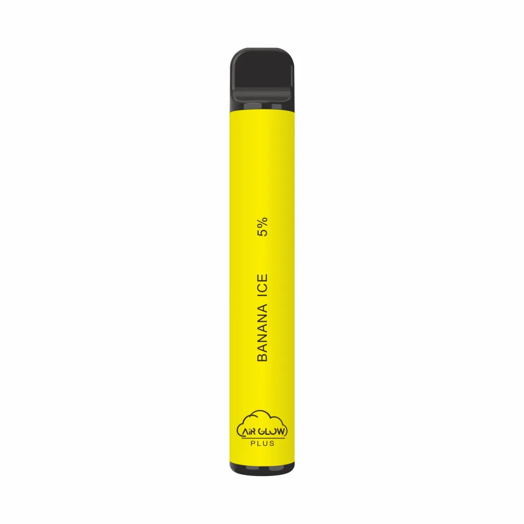 2021 Best Seller Ecig Disposable Vapor with Heat Resisting Pod
