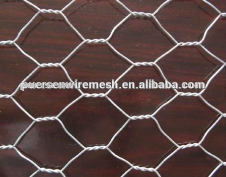 Nomal Twist Hexagonal Wire Netting