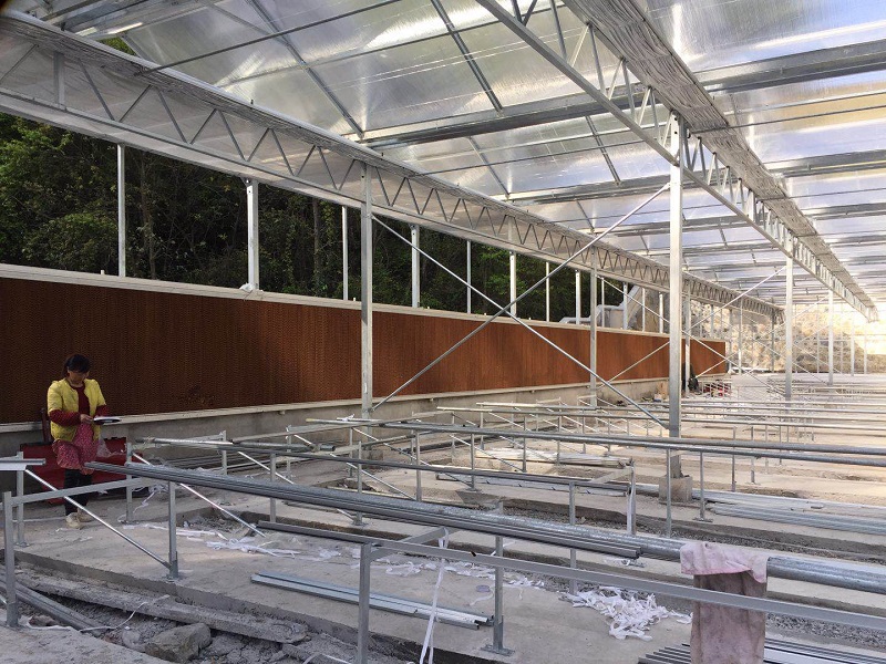 Qingcheng Agriculture establece un proyecto de demostración de invernaderos de vidrio en las montañas del norte de Guizhou Qingcheng Agriculture Establishes Glass Greenhouse Demonstration Project in the Mountains of Northern Guizhou