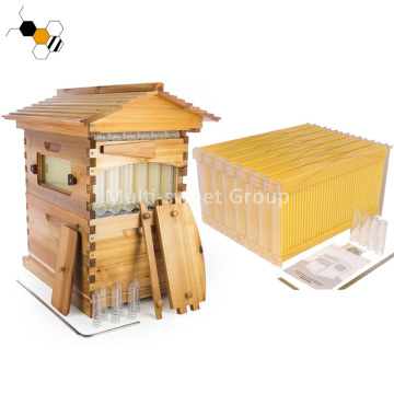 Bee Hive Wax Coated Flow Hive