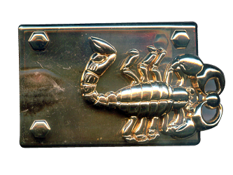 Scorpio belt western buckle