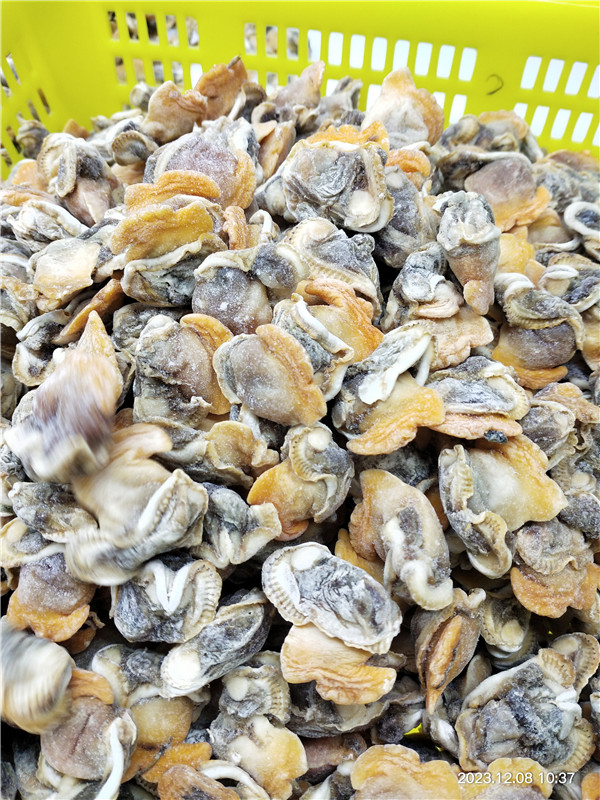 Nowy sezon i pakowanie luzu zamrożone zamrożone gotowane małż