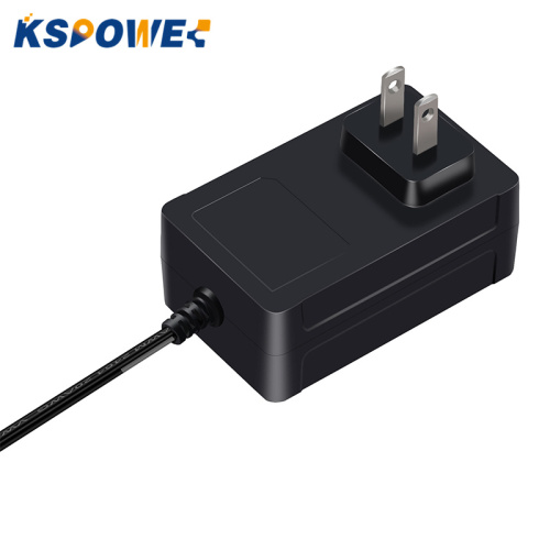 30W Wall Plug 120V to 12V/24V DC Adapter