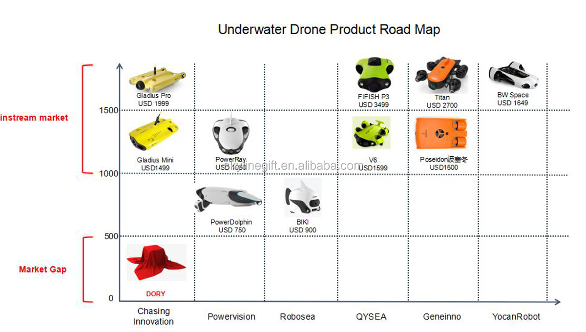 Underwater Drone CHASING DORY Underwater photos and videos for underwater exploration