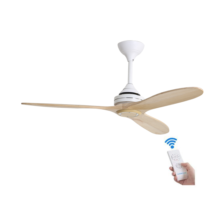 Safe And Reliable Ceiling Fan