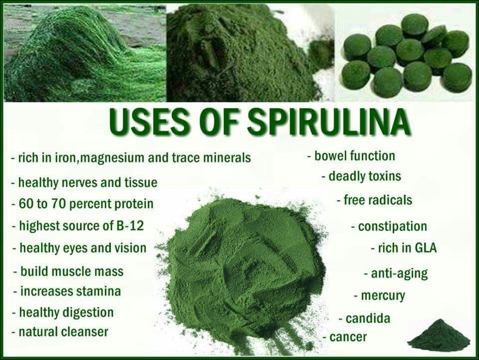 Bulk Price Tablets 500mg Raw Spirulina Health Products