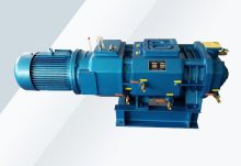 dry screw vacuum pump