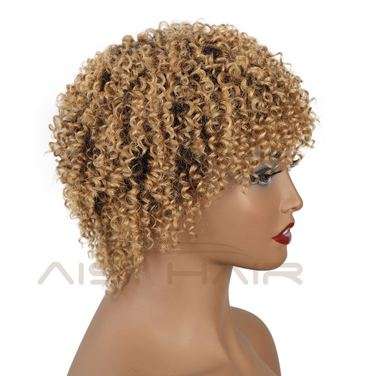 Aisi Hair Pixie Cut Short Afro Curly Kinky Wave #613 Blonde Unprocessed  Brazilian Short Brazilian Hair Brown Wig