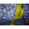 High Quality Normal White Garlic Size 4.5cm