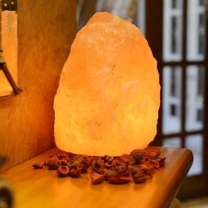 Salt Lamp with Genuine Neem Wood Base