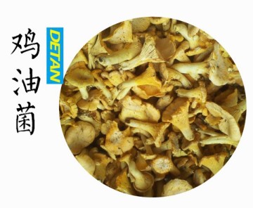 Dry Chanterelles Mushrooms Wild Hot Sell