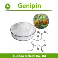 Anti-cáncer Gardenia Furit Extract Genipin 98% Powder