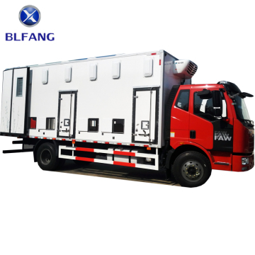 day old chicks vehicle truck for live baby chick