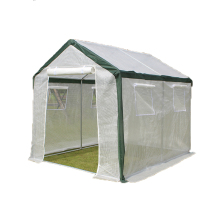 Taizhou Import Polycarbonate Greenhouse for Desert Rose Cultivation