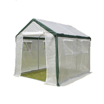 Taizhou Import Polycarbonate Greenhouse for Desert Rose Cultivation