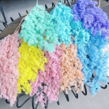 Wholesale Dried Decorative Ferns for Wedding and Home Decor