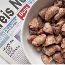 Nutritious Meals for Your Furry Friends