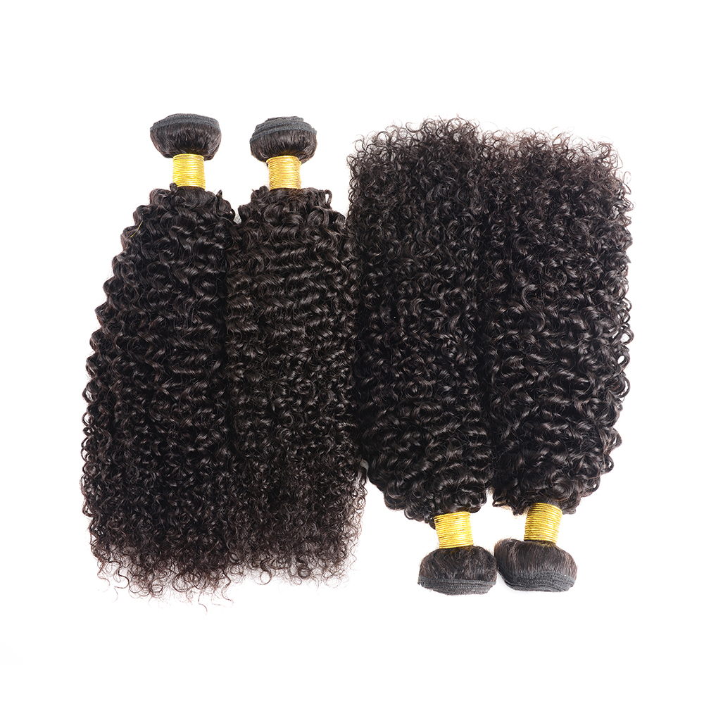 curly virgin burmese curly remy human hair bundles jerry curly mongolian kinky curly hair jerry curl human hair for women