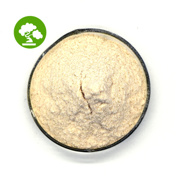 100% Natural Apigenin 98% Apigenin Chamomile Extract