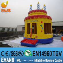 738 USD inflatable bouncer, inflatable castle, inflatable birthday cake