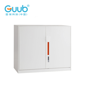 Cheap steel swing door file cabinet