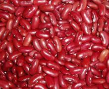 dark red kidney bean british type