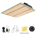 Dimmable High PPFD Led Grow Light Indoor Plants