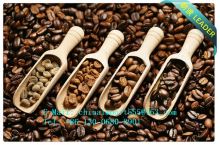 Guangzhou Import Customs Broker Customs Clearance